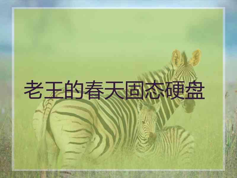 老王的春天固态硬盘