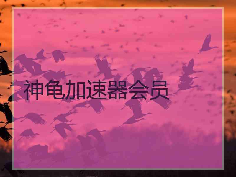 神龟加速器会员