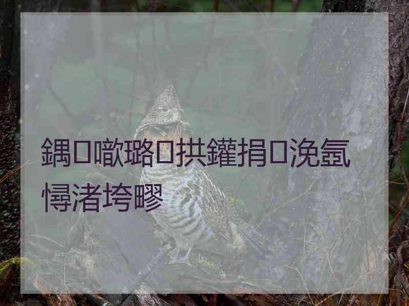 鍝噷璐拱鑵捐浼氬憳渚垮疁
