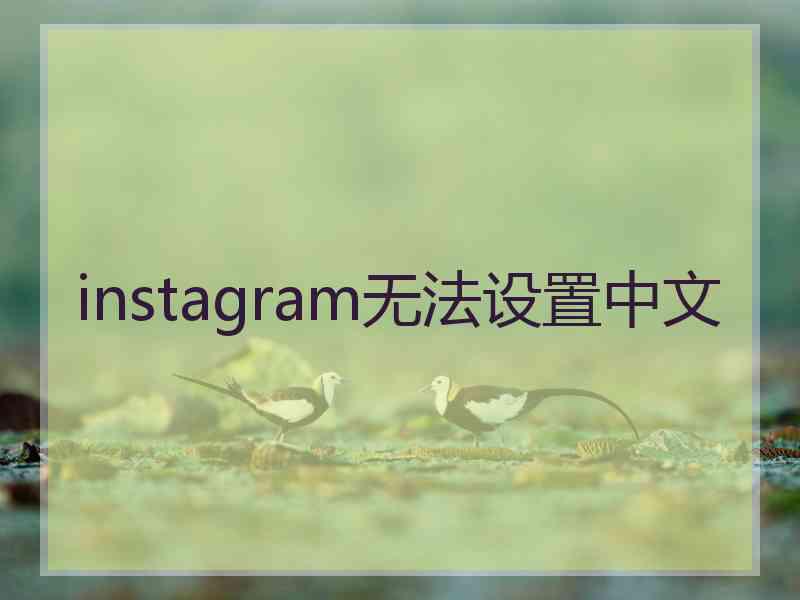 instagram无法设置中文