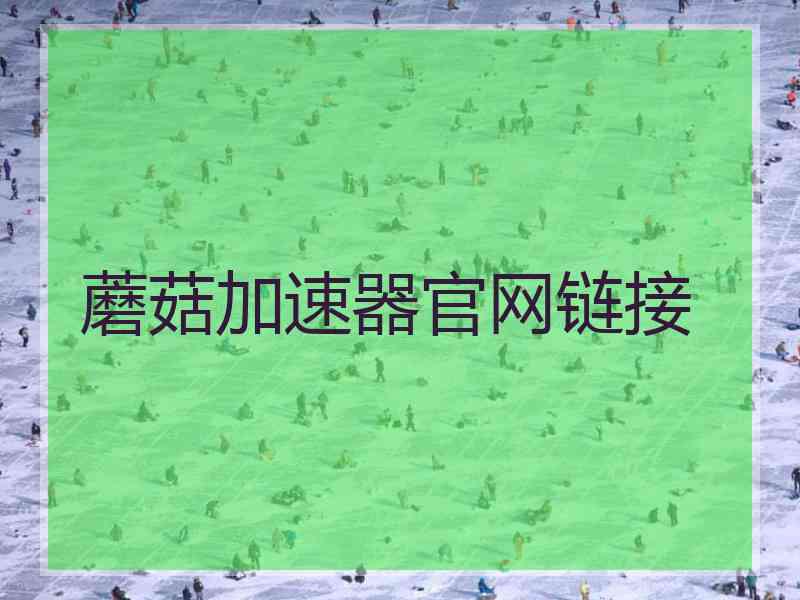 蘑菇加速器官网链接