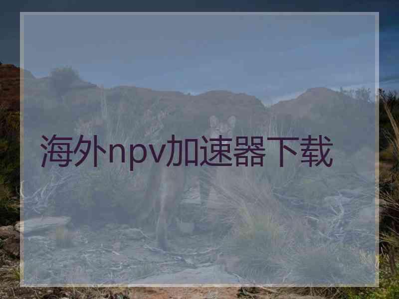 海外npv加速器下载