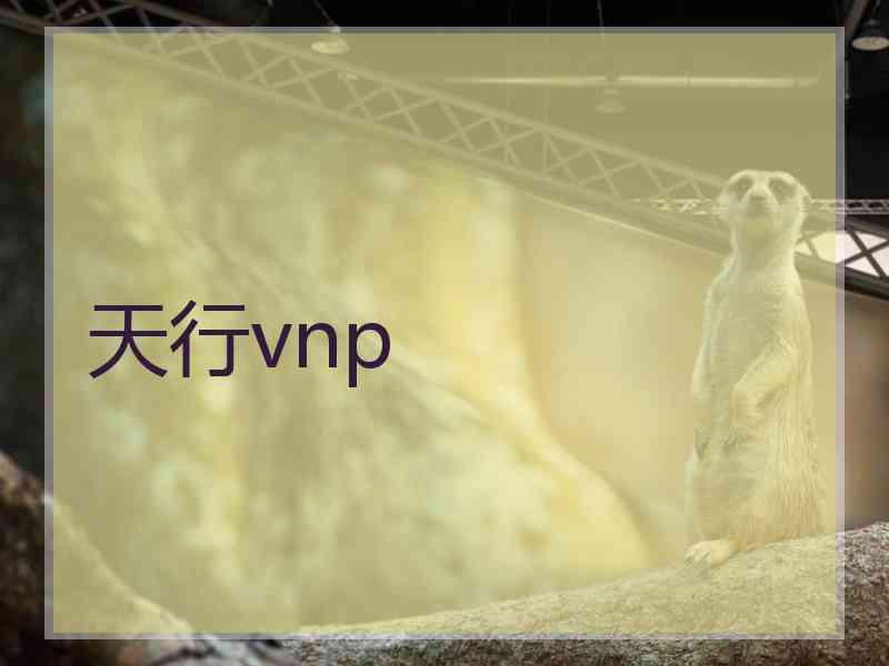 天行vnp