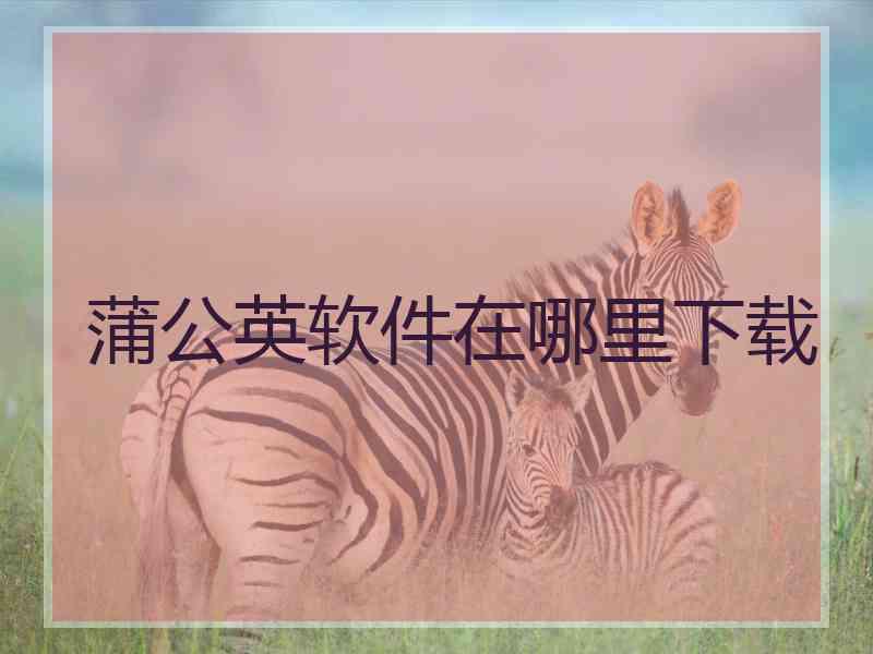 蒲公英软件在哪里下载