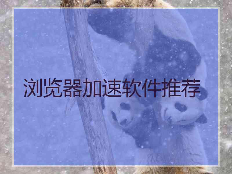 浏览器加速软件推荐