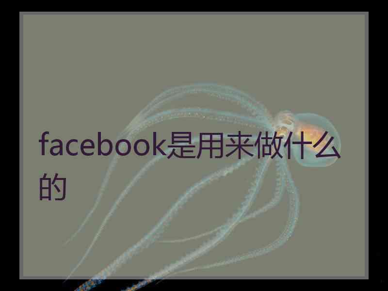 facebook是用来做什么的