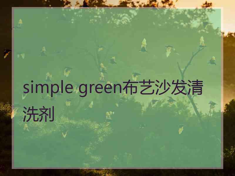 simple green布艺沙发清洗剂