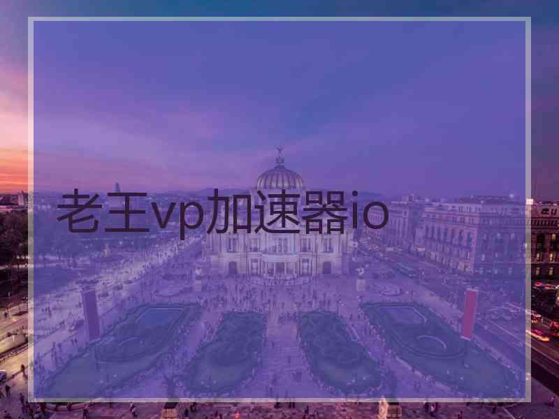 老王vp加速器io