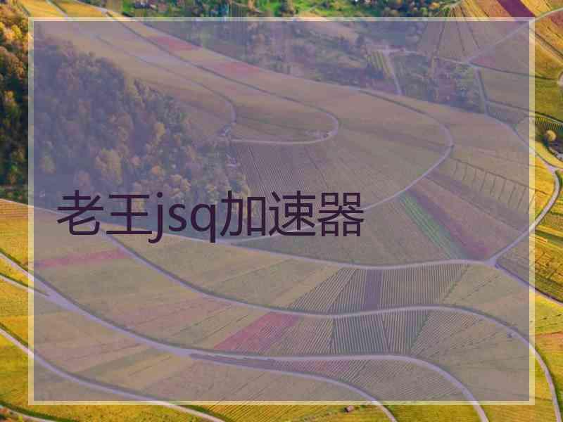 老王jsq加速器
