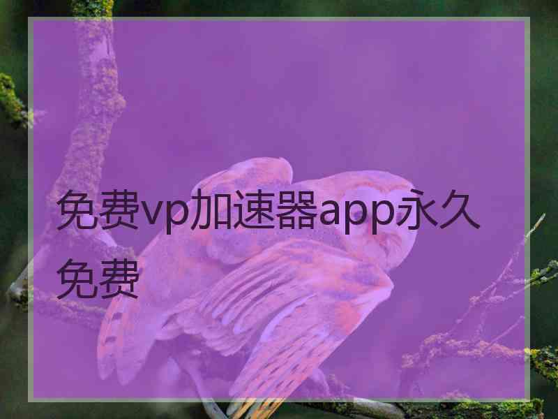免费vp加速器app永久免费