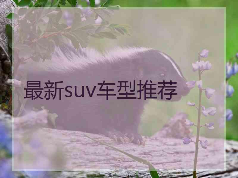 最新suv车型推荐
