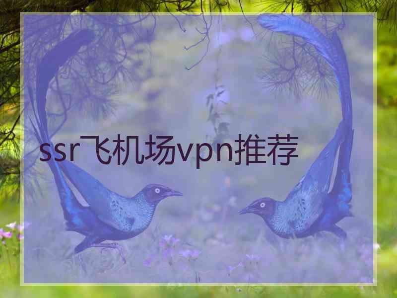 ssr飞机场vpn推荐