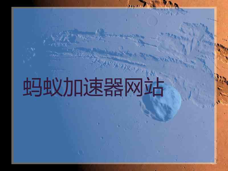 蚂蚁加速器网站