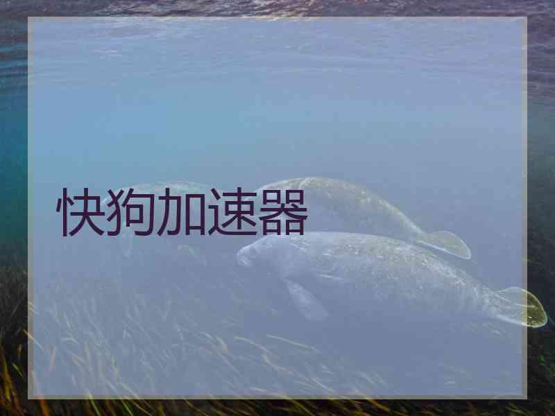 快狗加速器