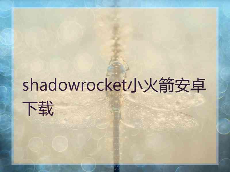 shadowrocket小火箭安卓下载