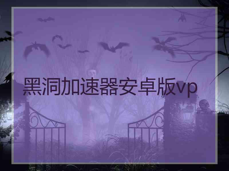 黑洞加速器安卓版vp