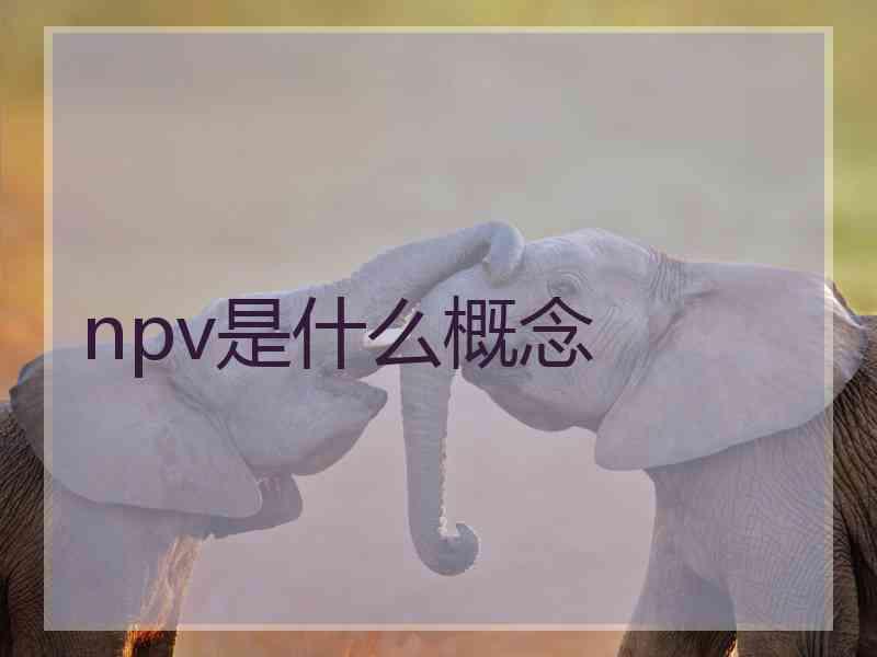 npv是什么概念