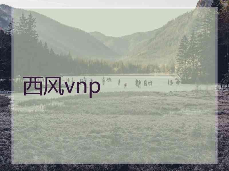西风vnp