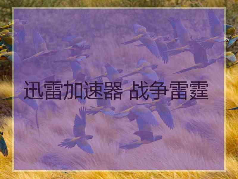 迅雷加速器 战争雷霆