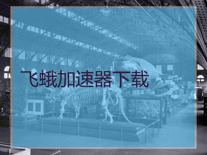 飞蛾加速器下载