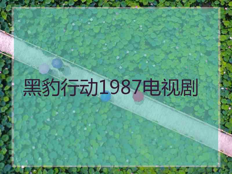 黑豹行动1987电视剧