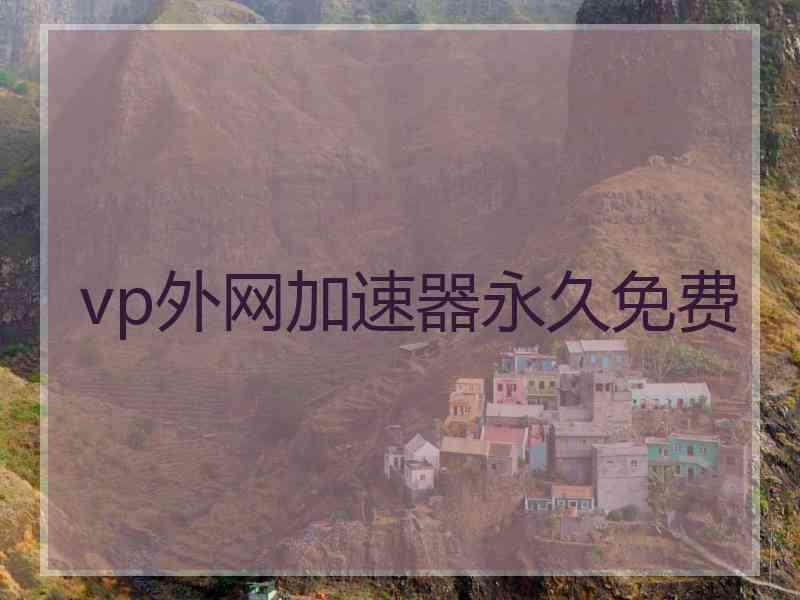 vp外网加速器永久免费