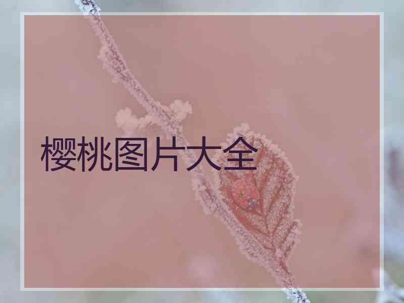 樱桃图片大全