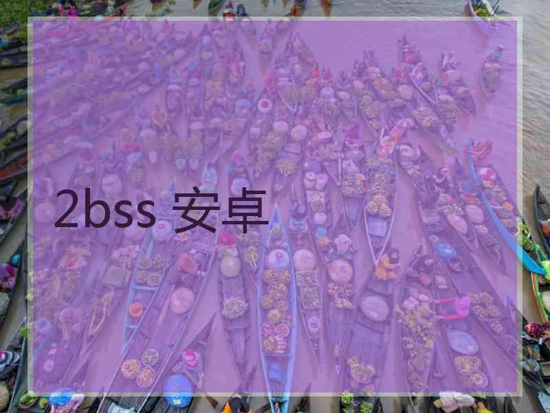 2bss 安卓