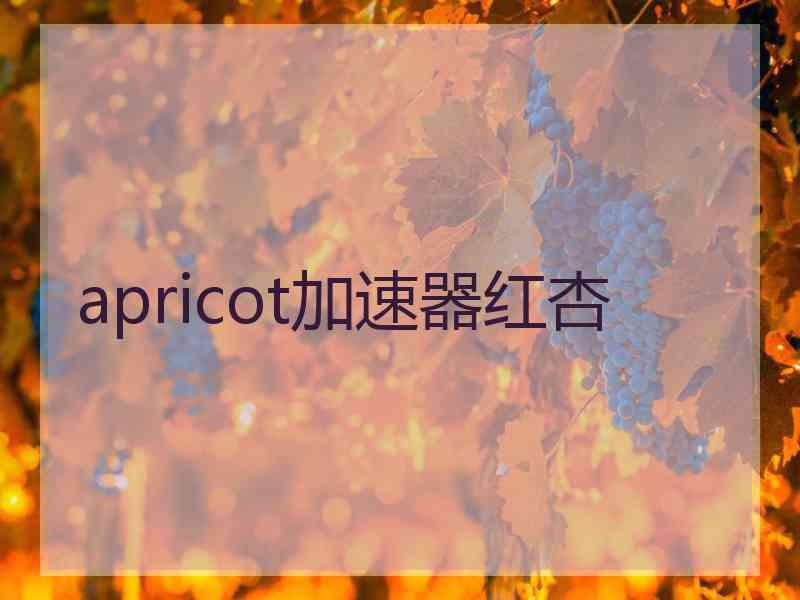 apricot加速器红杏