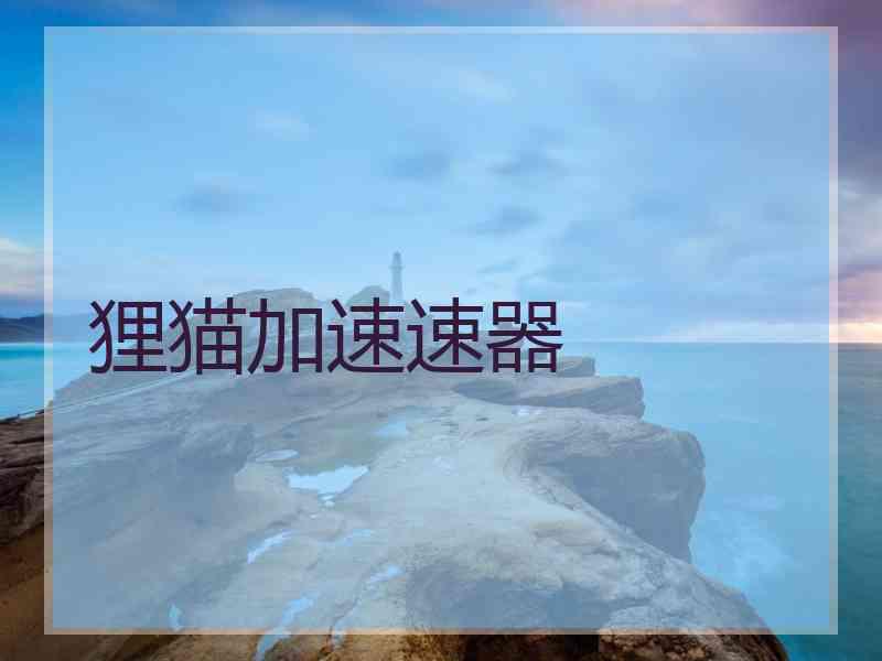 狸猫加速速器