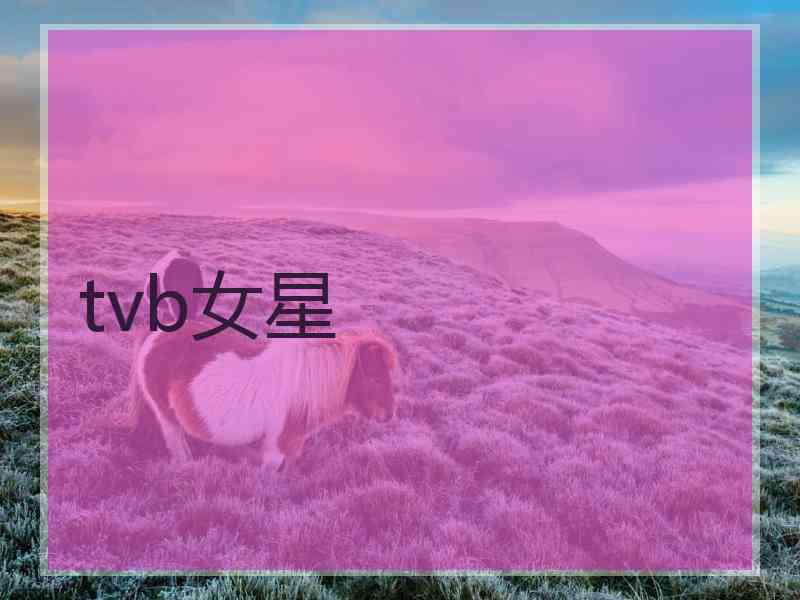 tvb女星