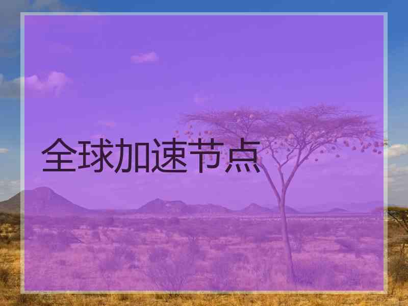 全球加速节点