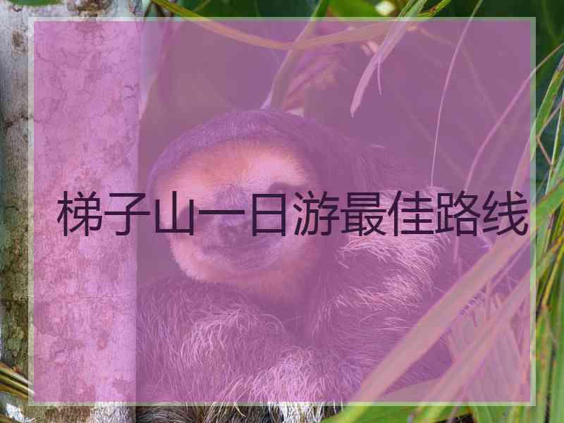 梯子山一日游最佳路线