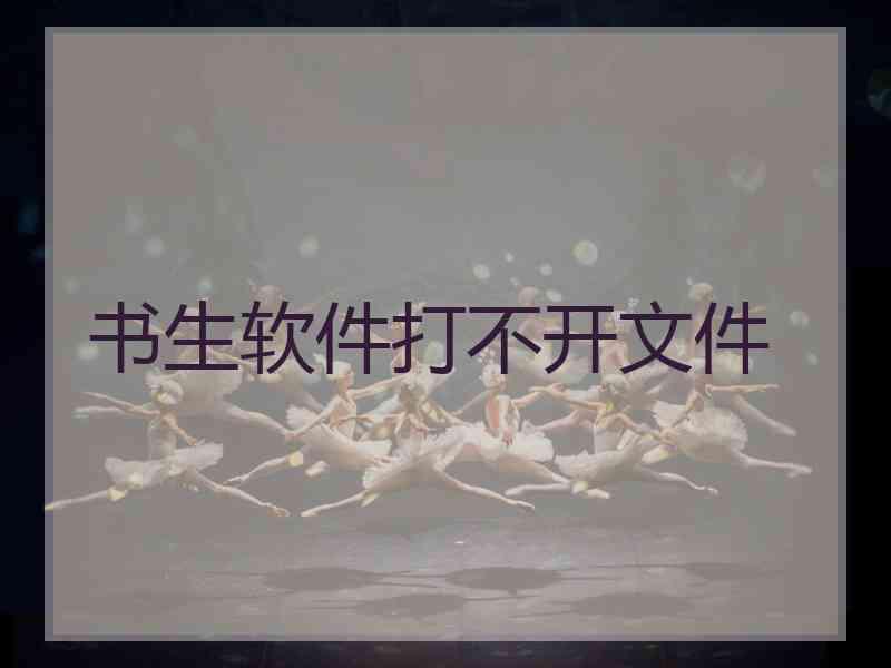 书生软件打不开文件