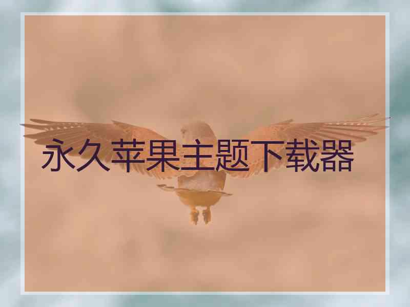 永久苹果主题下载器