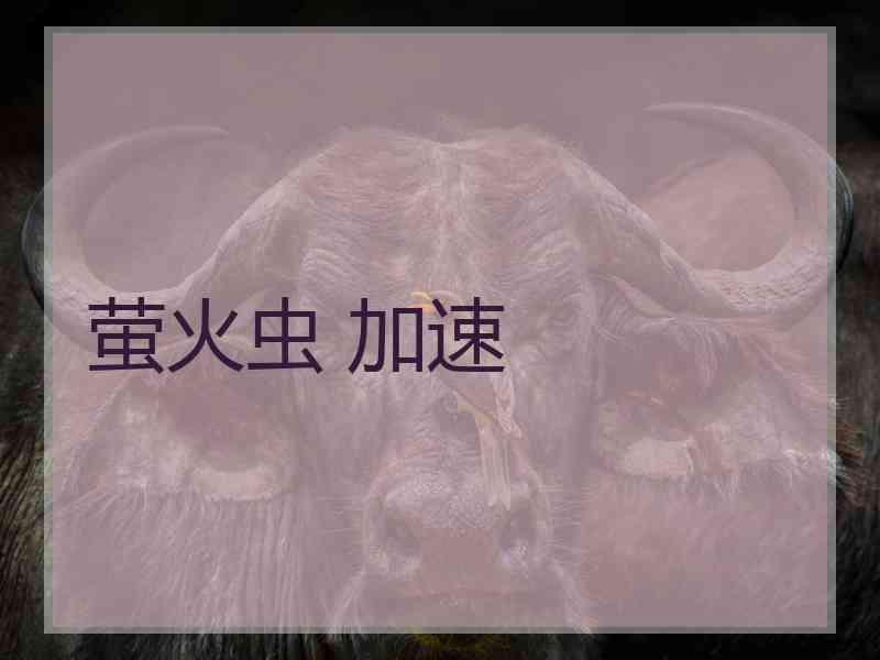 萤火虫 加速