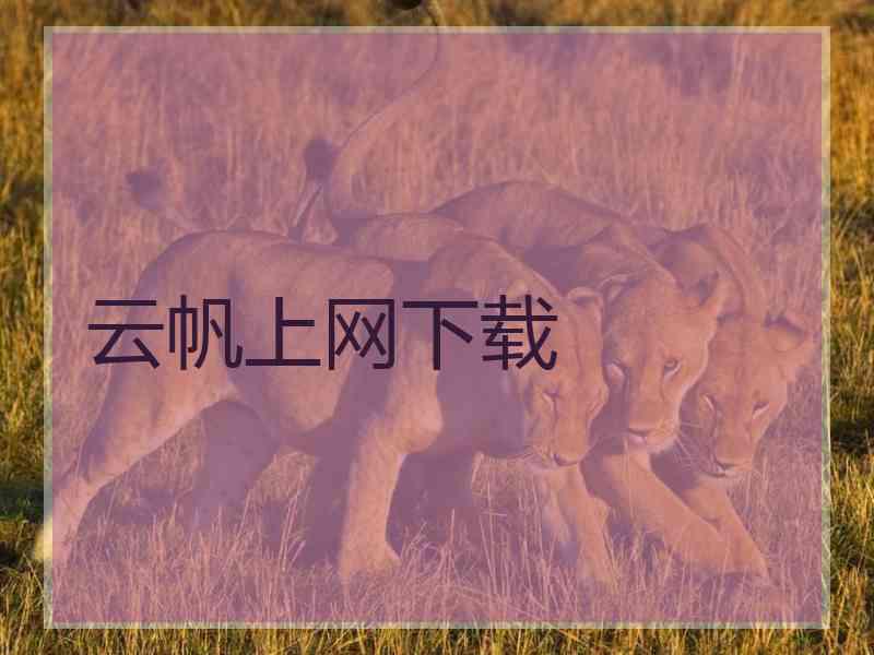 云帆上网下载