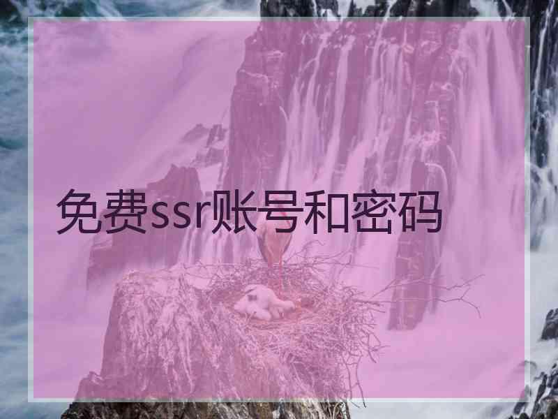 免费ssr账号和密码