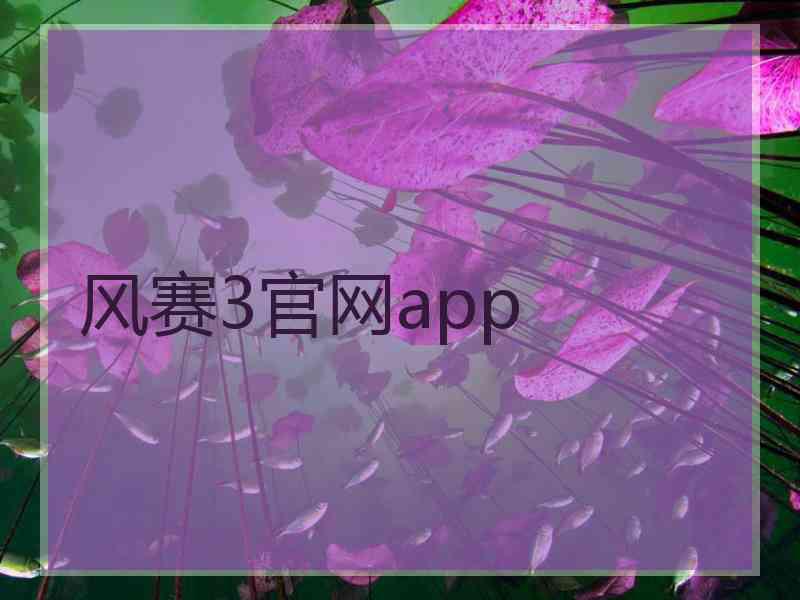 风赛3官网app