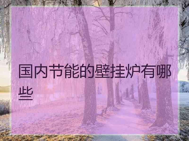 国内节能的壁挂炉有哪些