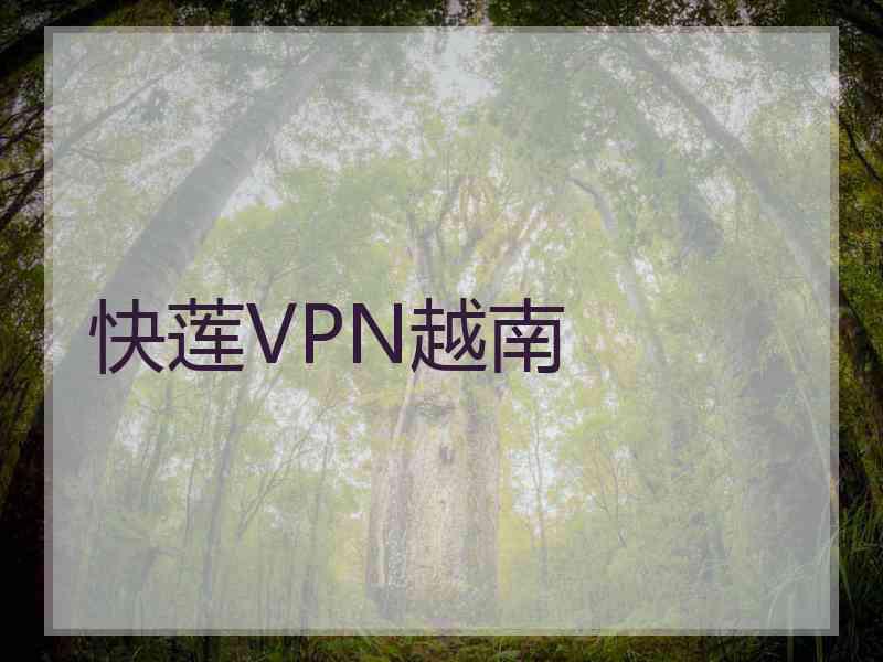 快莲VPN越南