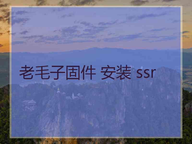 老毛子固件 安装 ssr