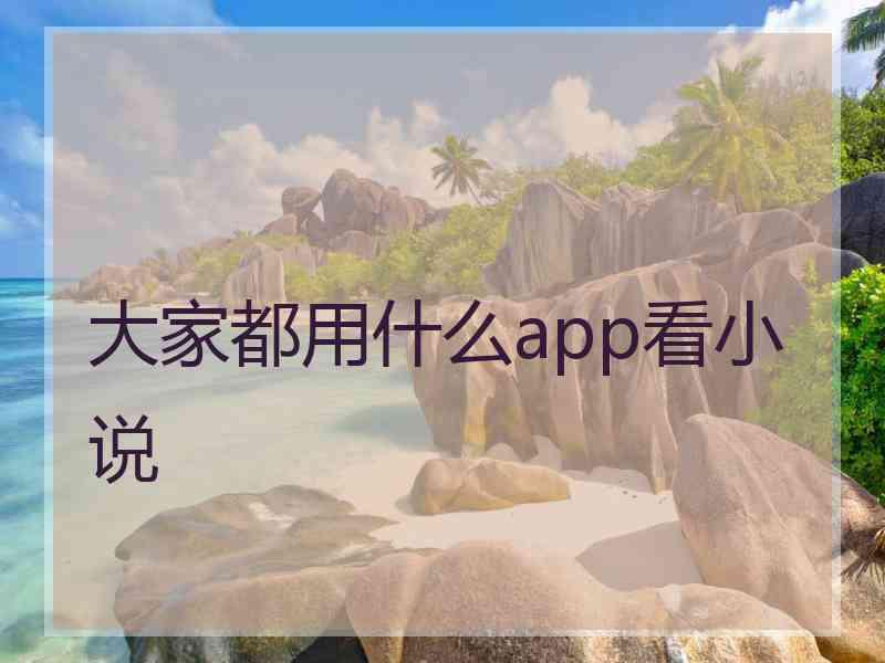 大家都用什么app看小说
