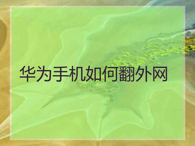 华为手机如何翻外网