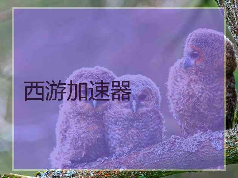 西游加速器