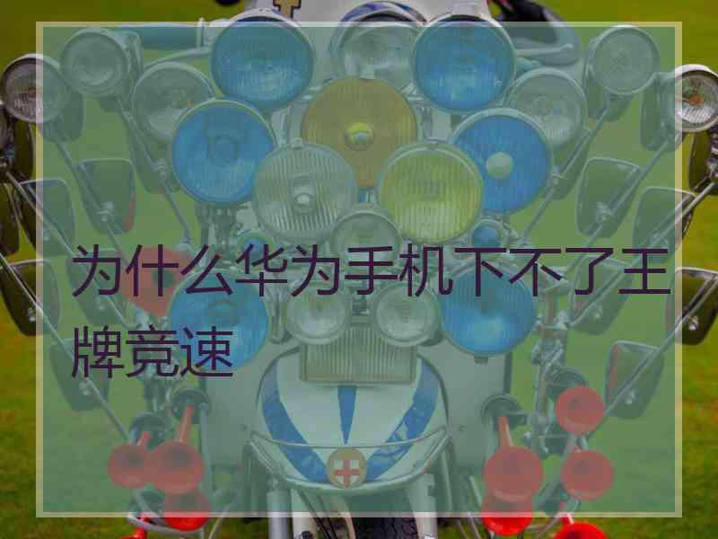 为什么华为手机下不了王牌竞速