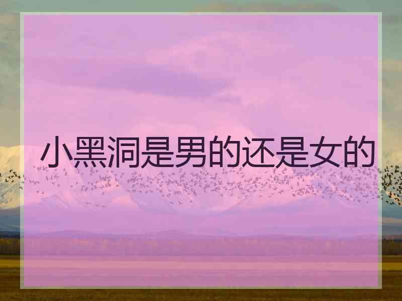 小黑洞是男的还是女的
