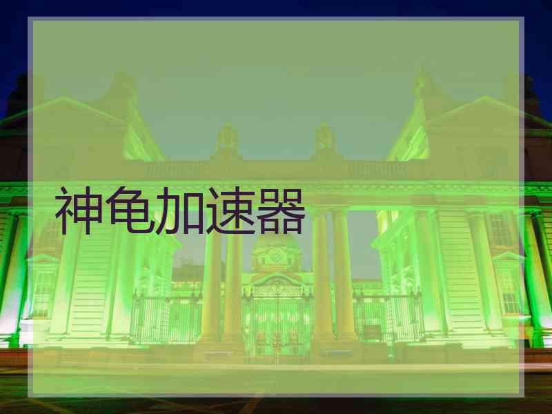 神龟加速器