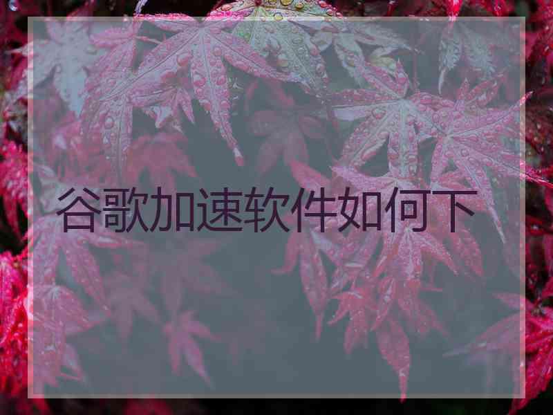 谷歌加速软件如何下