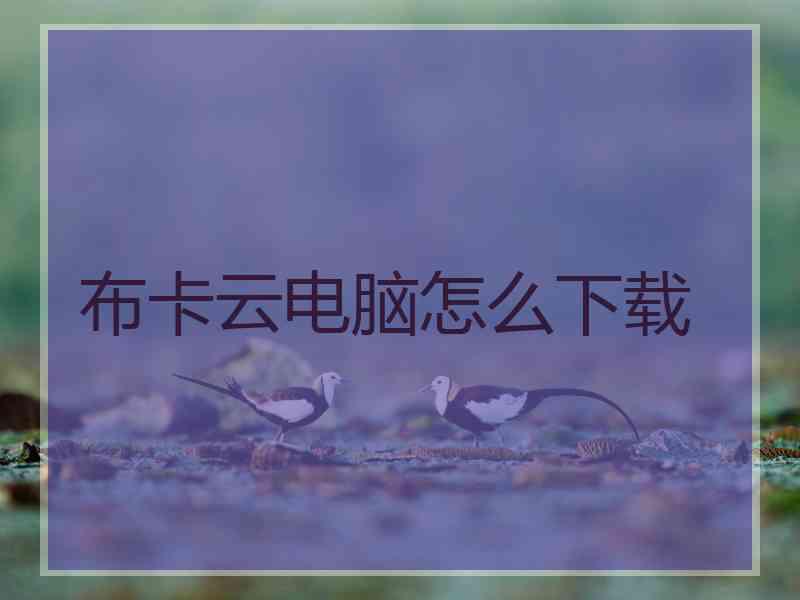 布卡云电脑怎么下载